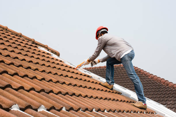 Best Green or Eco-Friendly Roofing Solutions  in Nahunta, GA